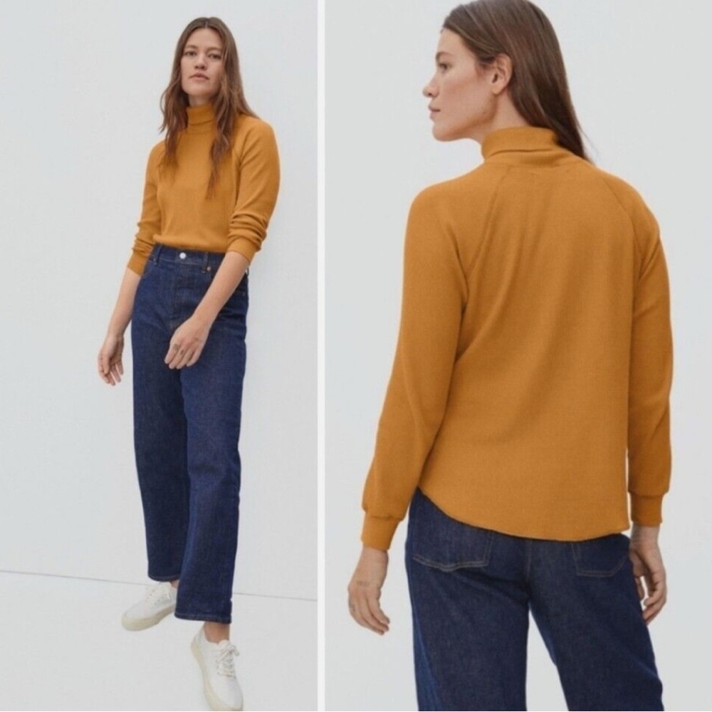 Everlane Organic Cotton Turtleneck